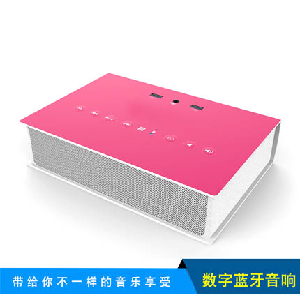 新款私模蓝牙音响